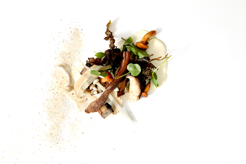  Mushrooms, seaweed, horseradish 