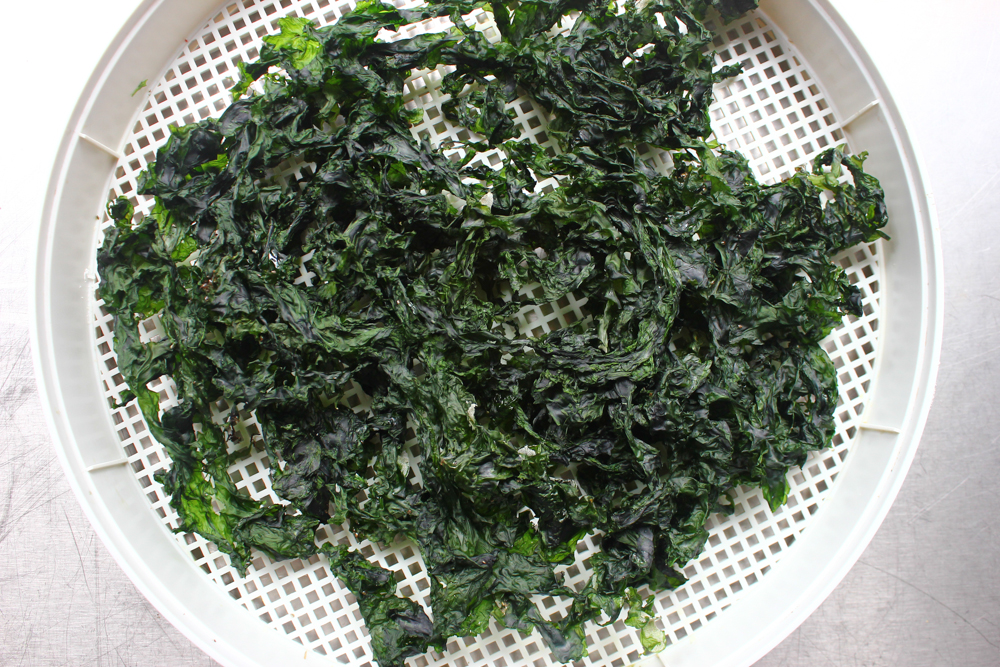 Dried sea lettuce