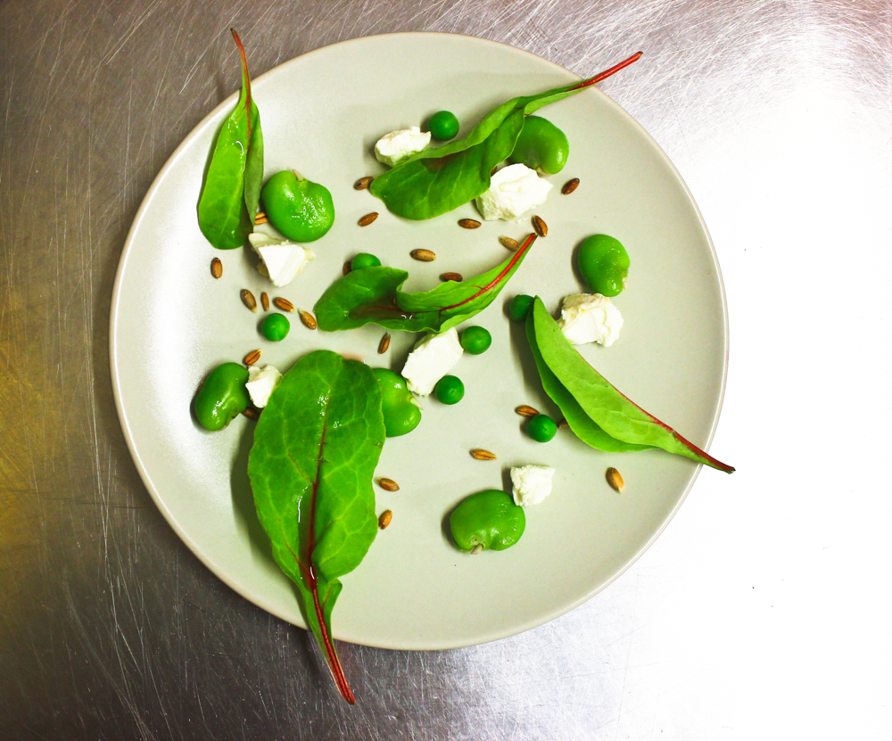 Broad beans, sheep cheese, baby chard, spelt