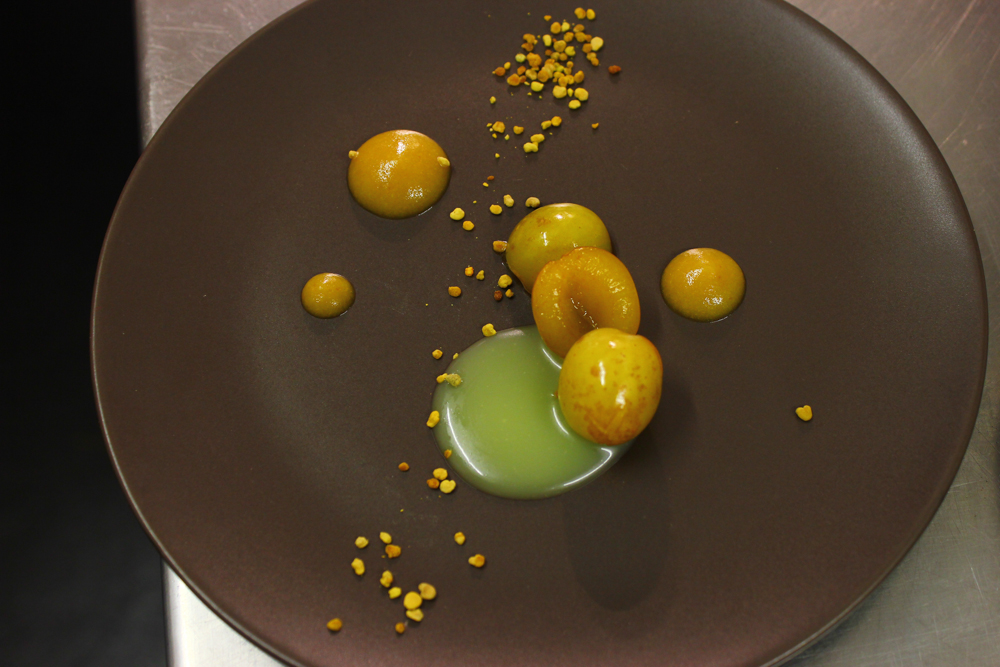 Mirabelle plums, milk jam, rice pudding corquette