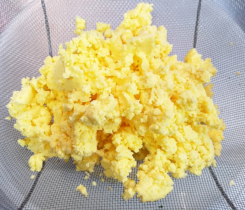  Draining the buttermilk from a batch of freshly churned cultured butter. 