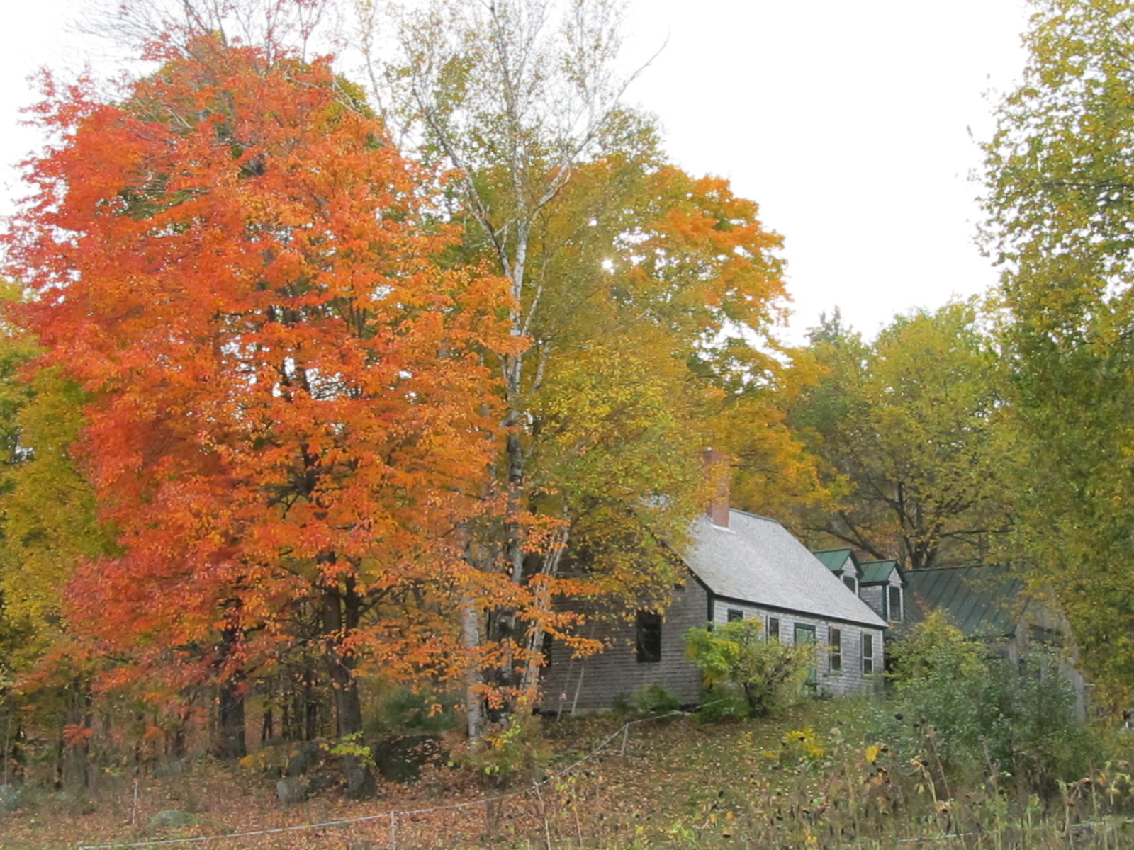 Fall-colored farm house