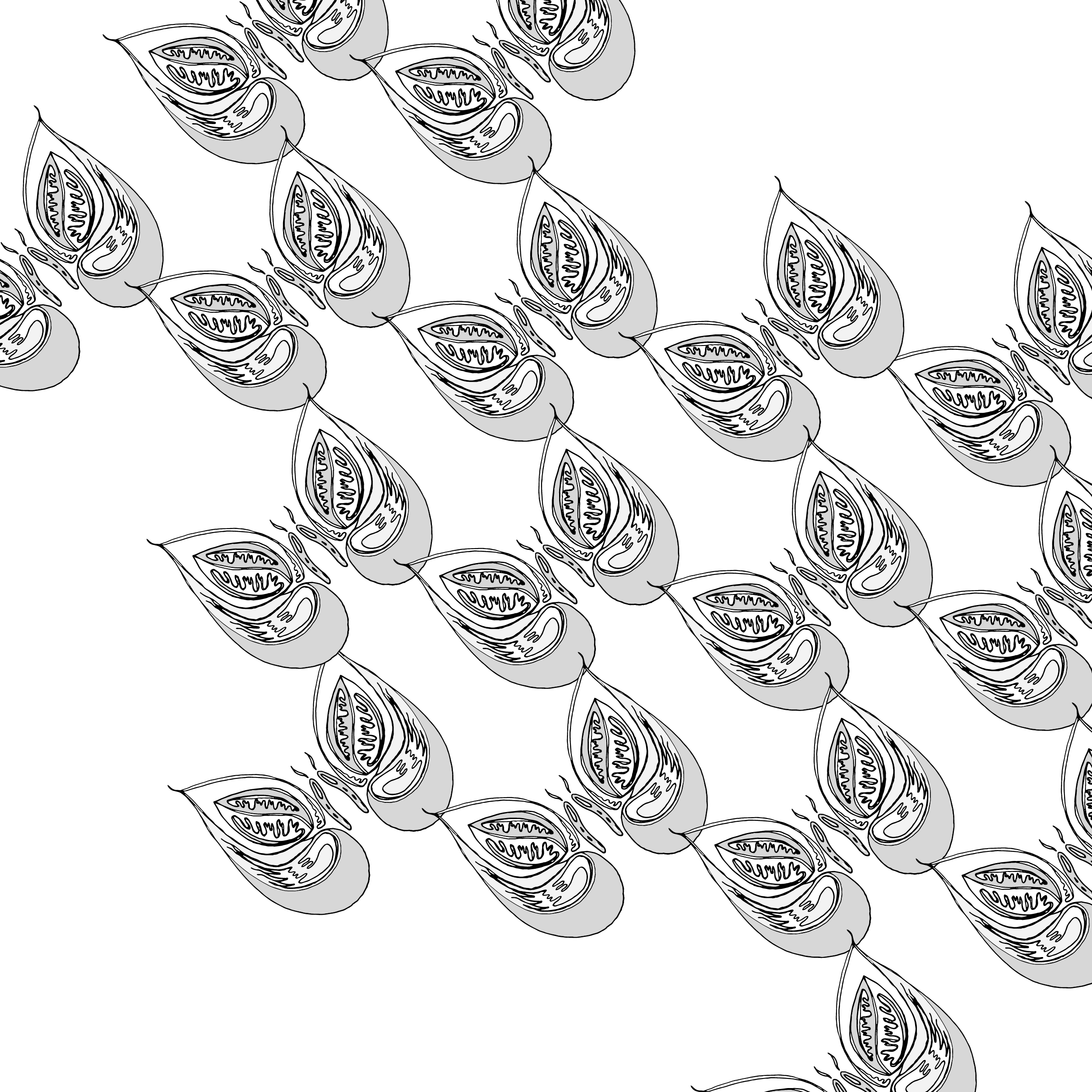 flutter2-01.png