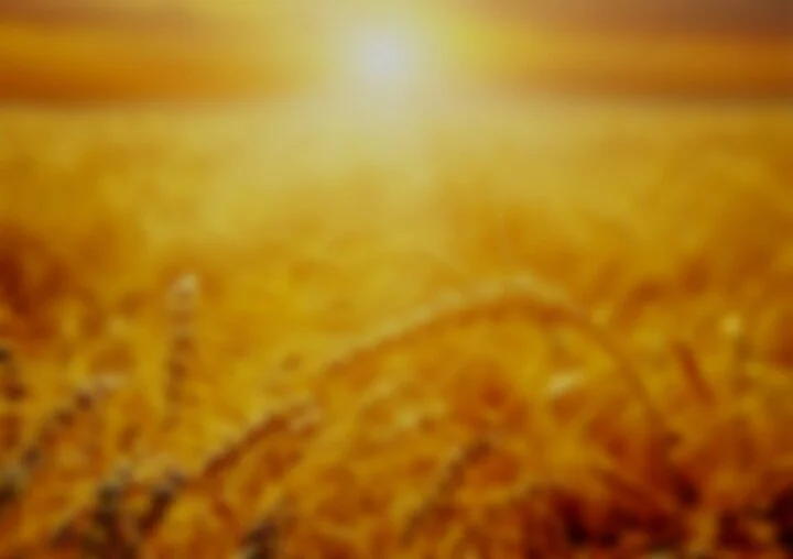 the-biblical-feast-of-firstfruits-how-it-explains-a-great-mystery_0.jpg