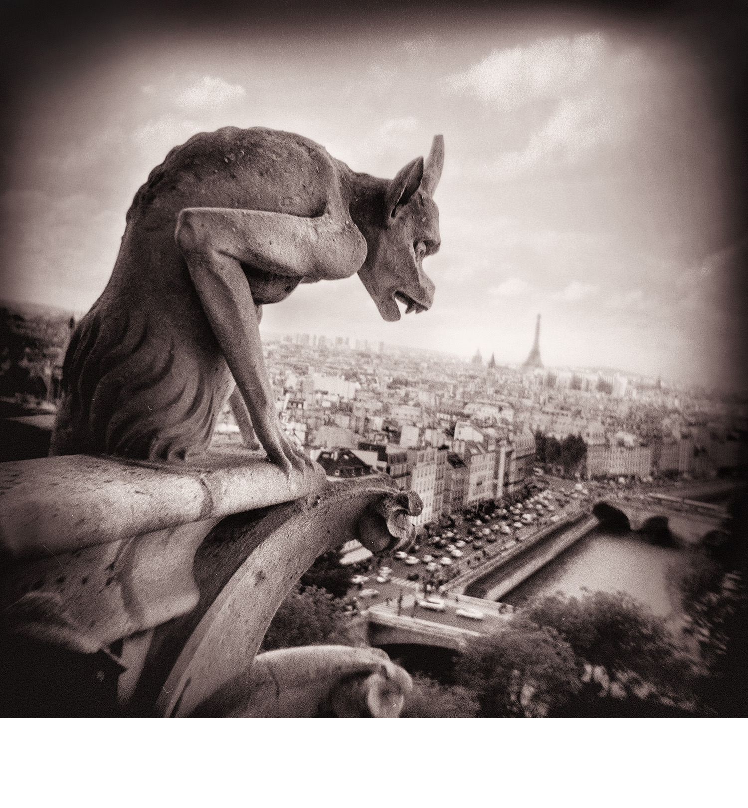 gargoyle_Paris.jpg