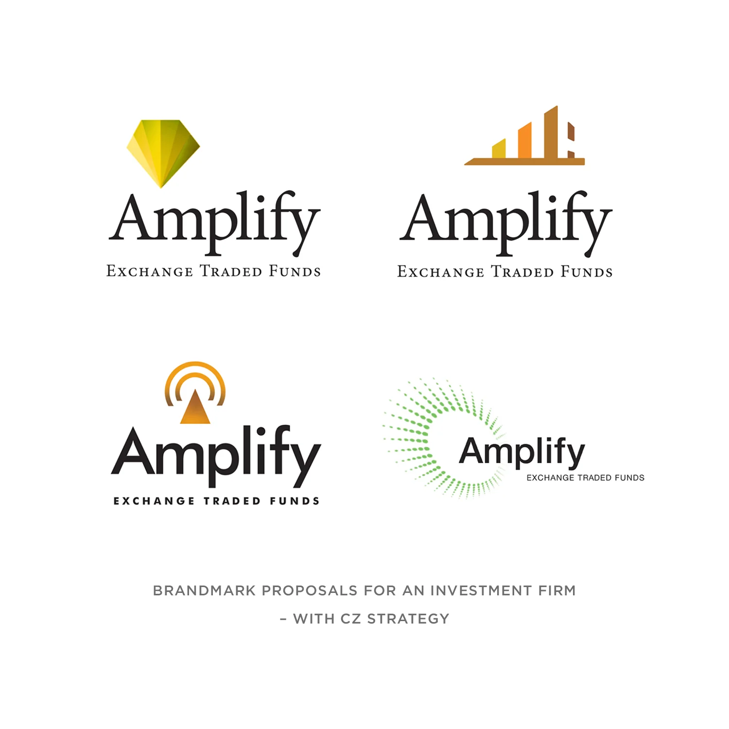 AmplifyOptions_web.jpg