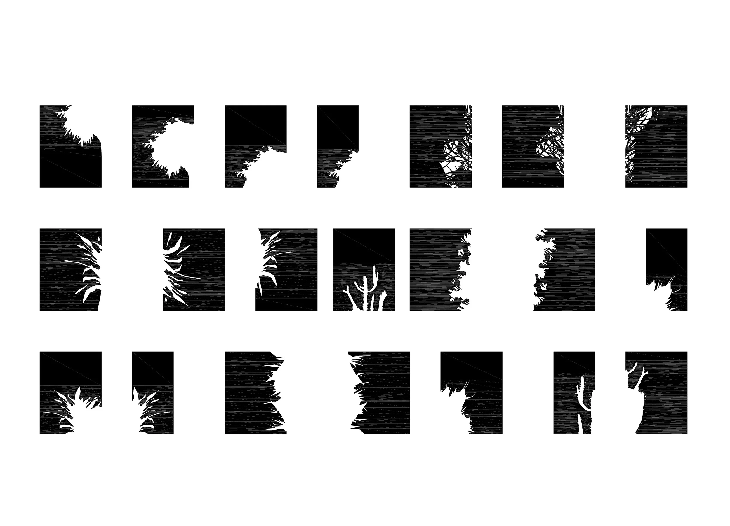 LIFE CYCLES, BUFFALO, NY (2011)