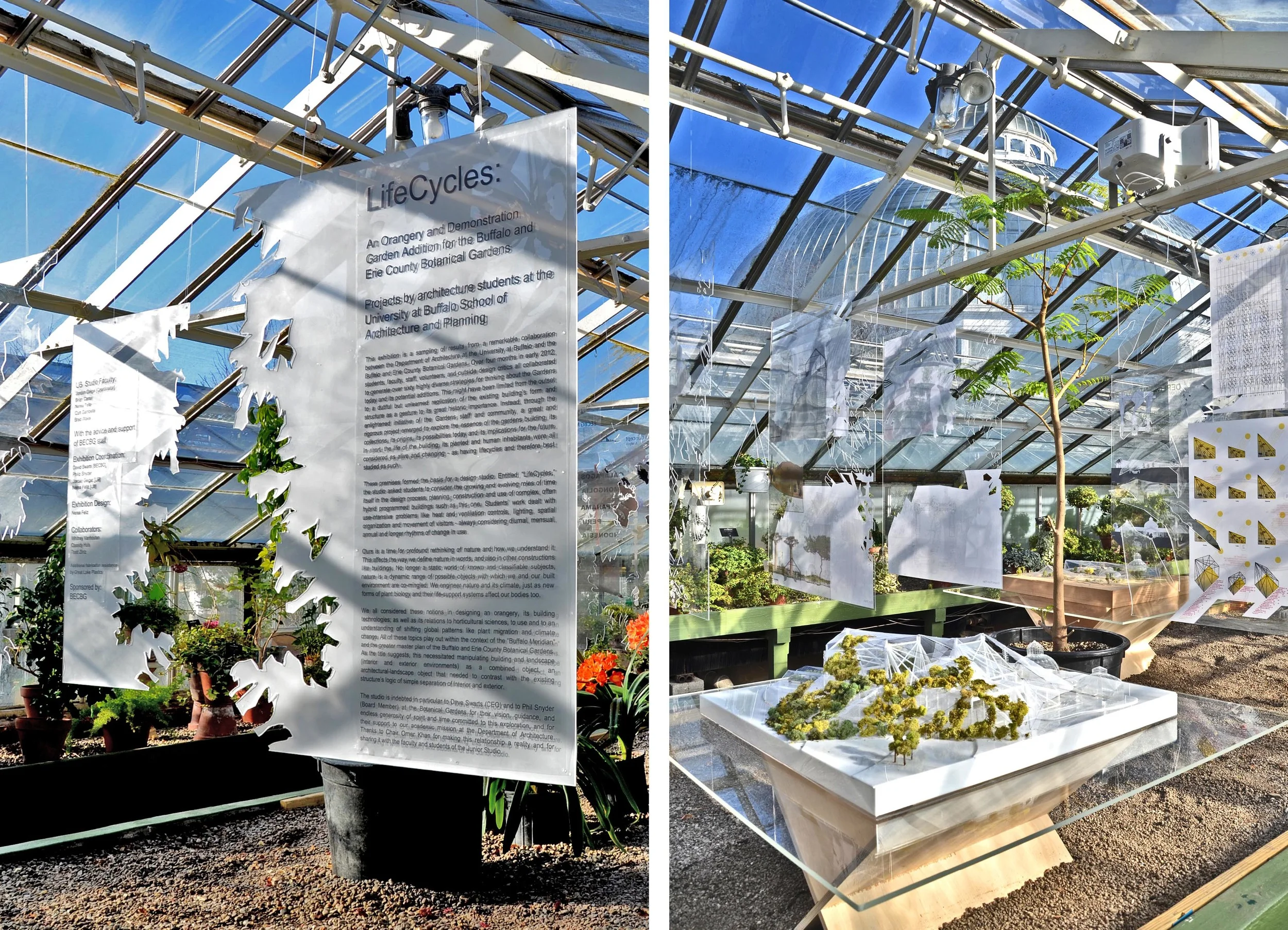 The exhibition took place at the Buffalo and Eire Botanical Gardens designed by Lord Burnham in 1895. 
