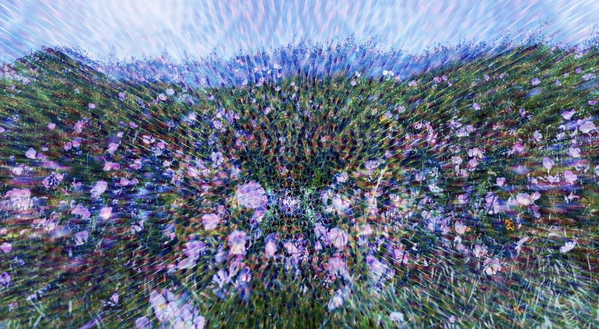 Screen Shot 2021-06-23 at 5.14.18 PM.png