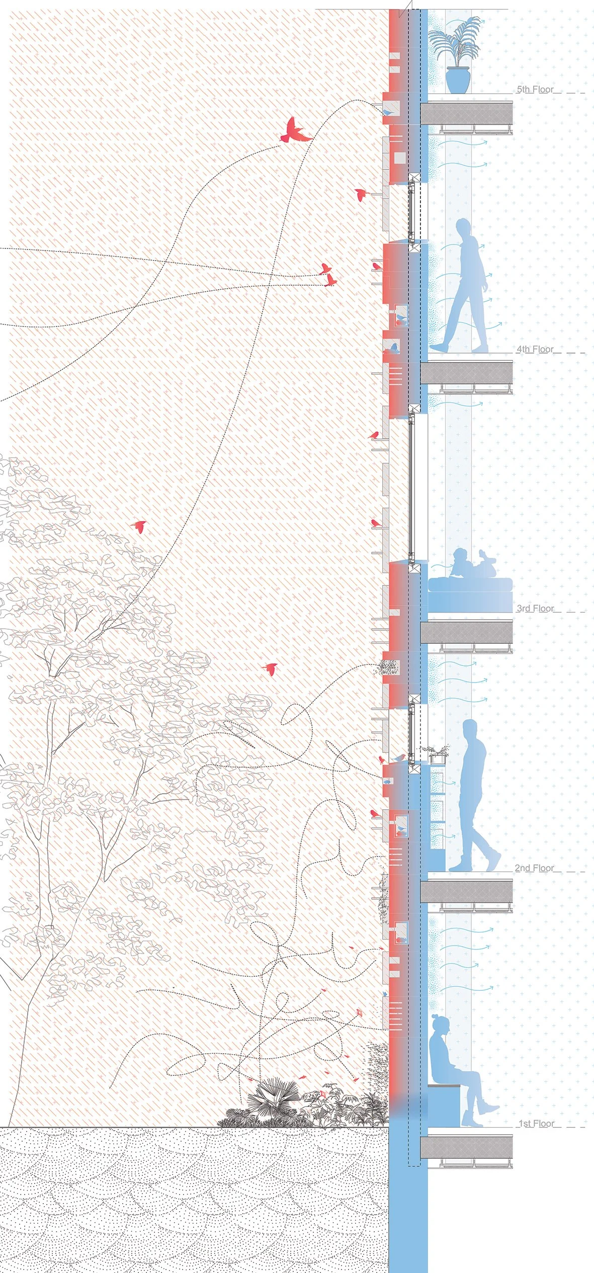 Figure 03_Common Wall Thermal Section.jpg