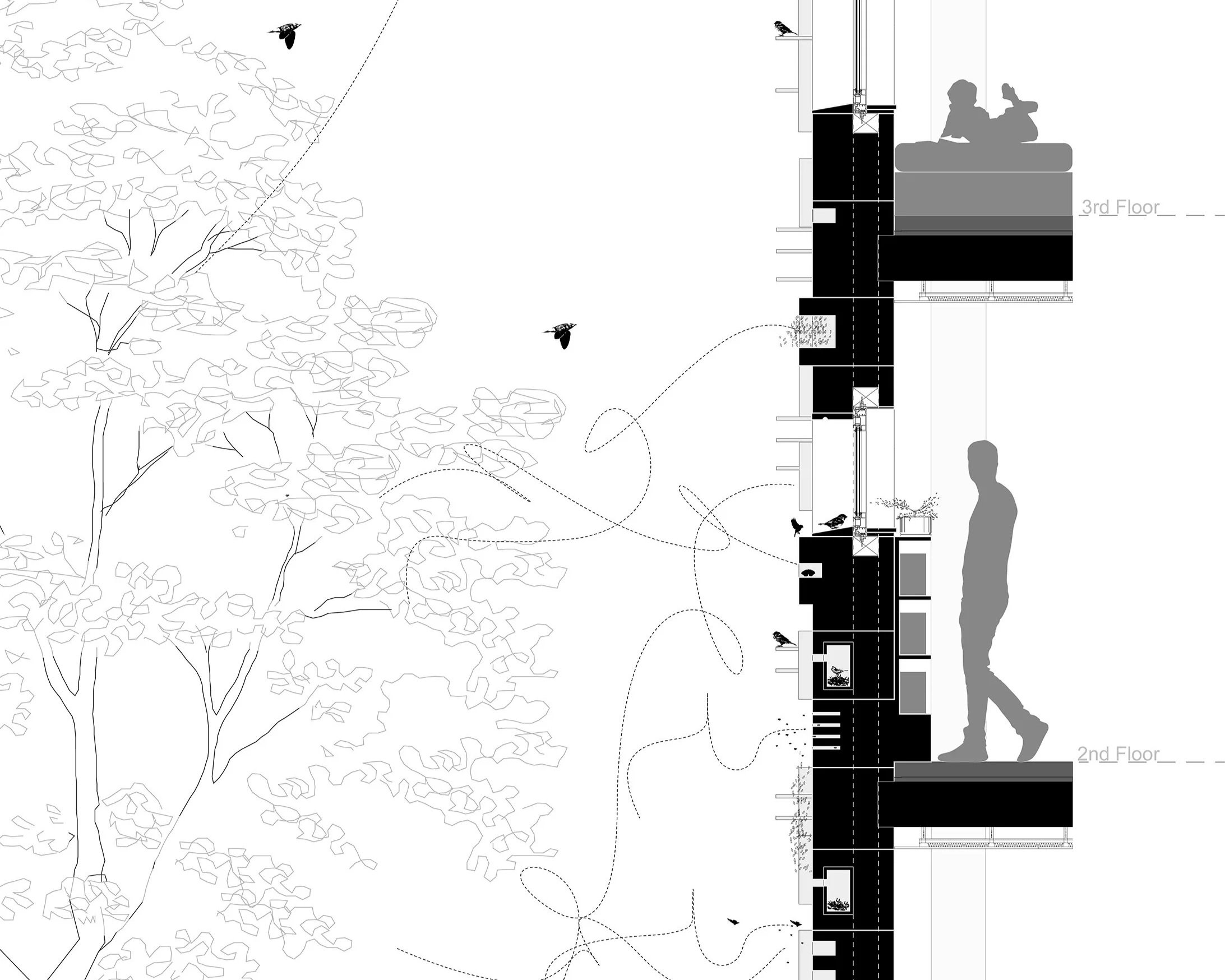  Acknowledgements:  This work is influenced by Professor Joyce Hwang’s research and by collaborative projects with the author undertaken as “Double Happiness.”  An earlier version of this concept was developed with Associate professor Clay Odom and h