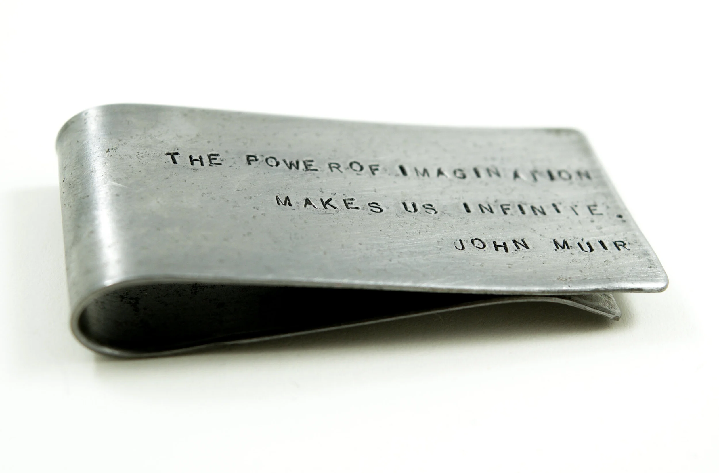 aprilHale_moneyClip_johnMuir_powerImagination_angle_web.jpg