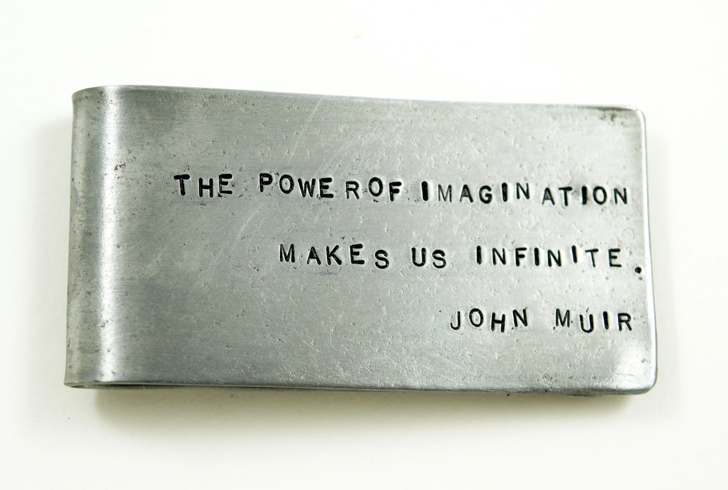 aprilHale_moneyClip_johnMuir_powerofImagination_web.jpg