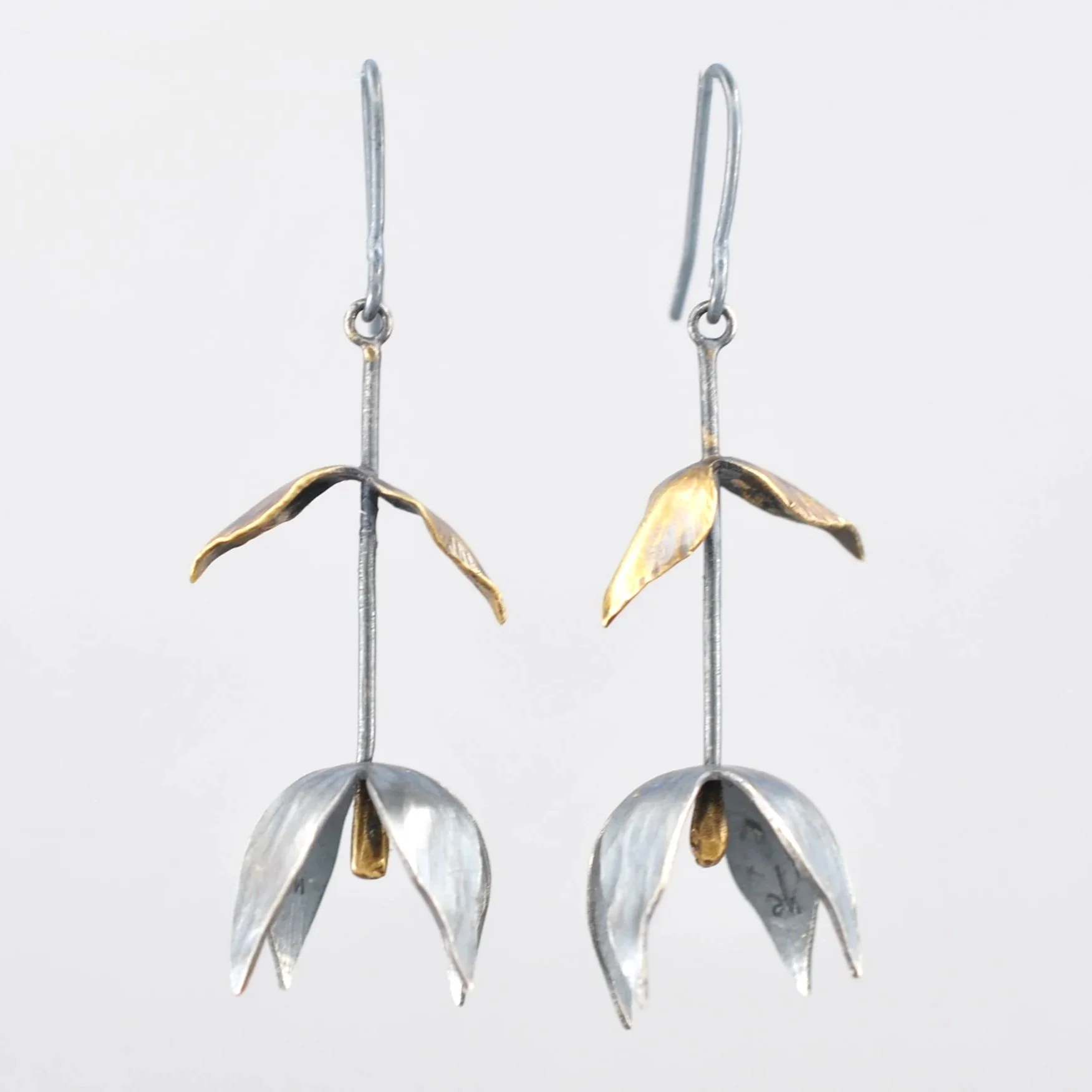 Flora and Fauna Collection