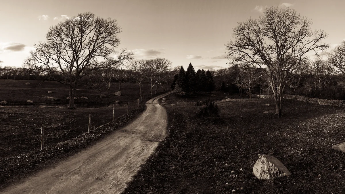 Blog — Chilmark Writing