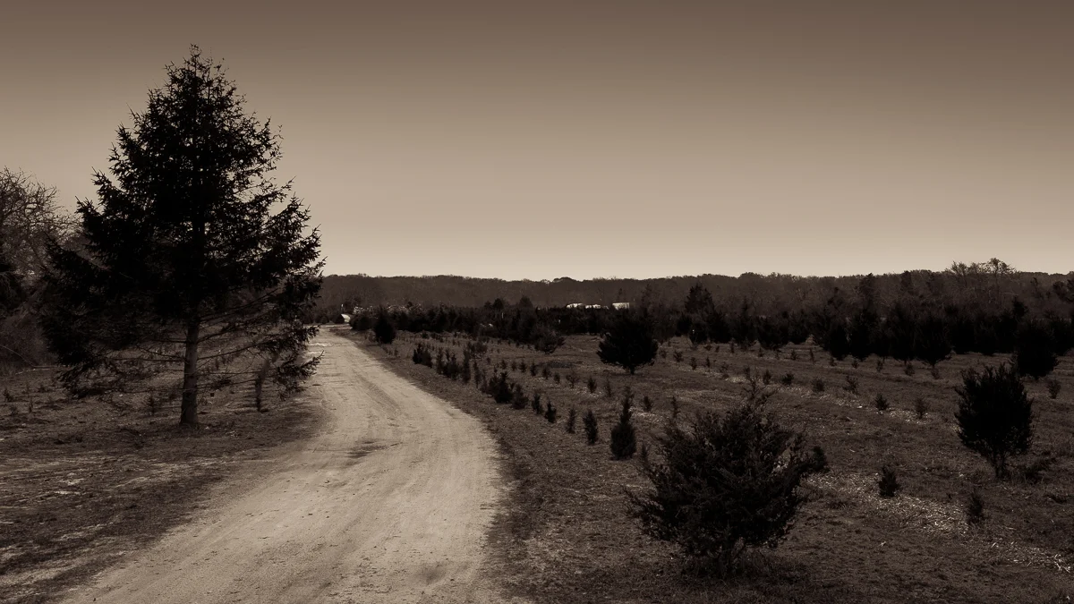 Store — Chilmark Writing