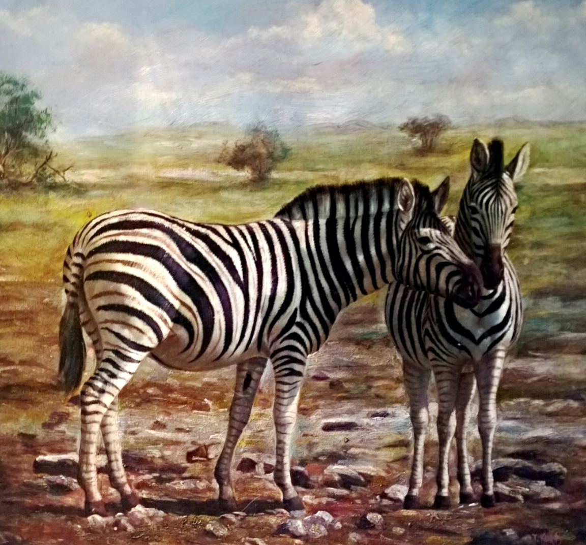 zebras_kallahari.jpg