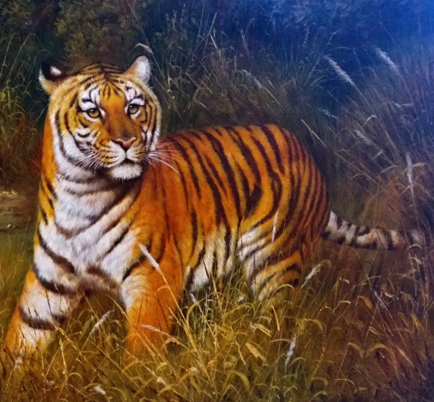 Bengal Tiger_2.jpg