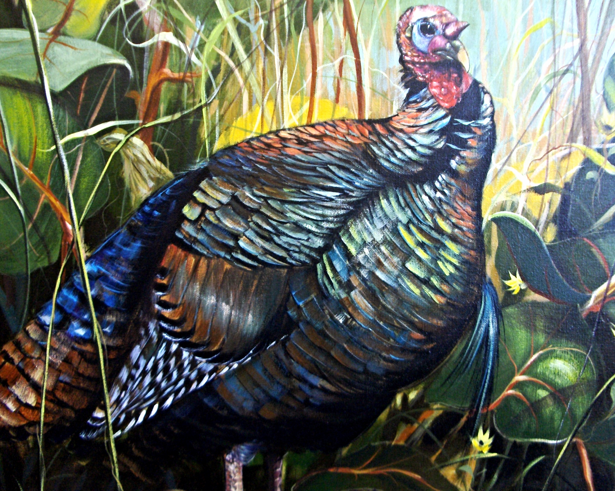 Osceola Turkey.jpg