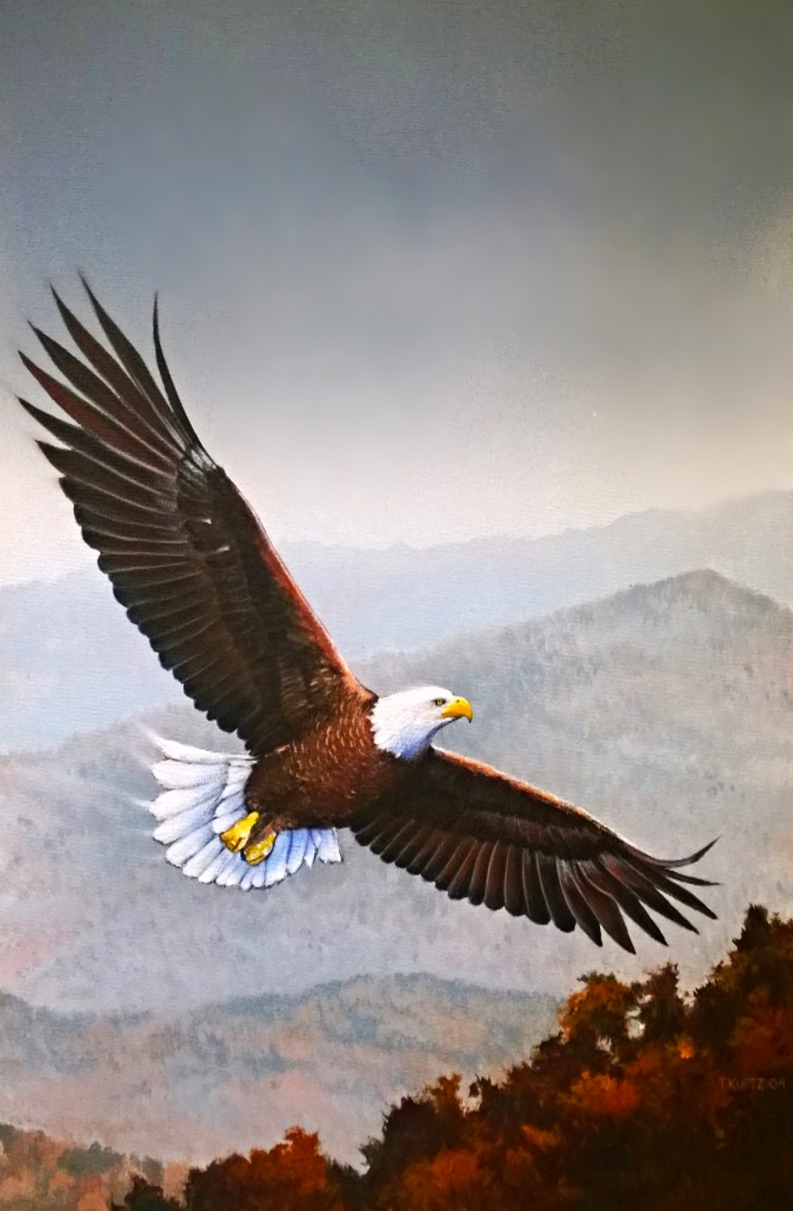 Eagle_Blue Ridge.jpg