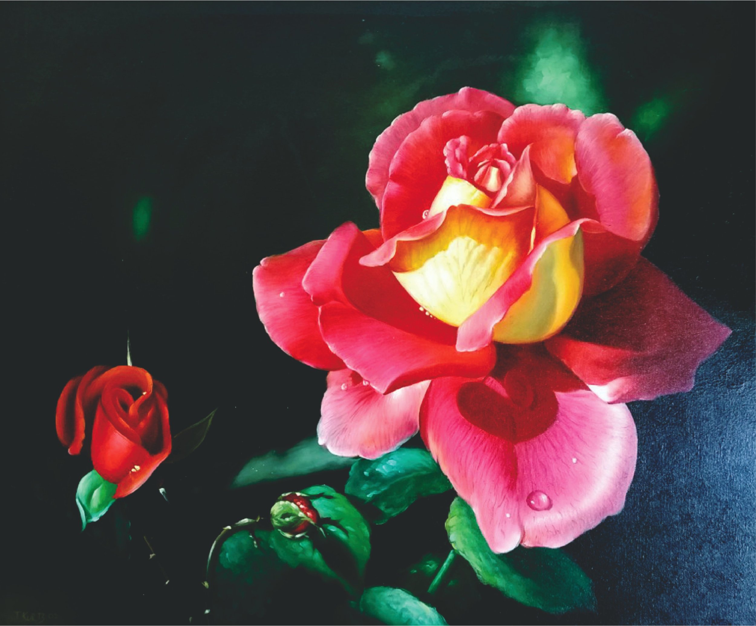 rose-NC-2026_tpk.jpg