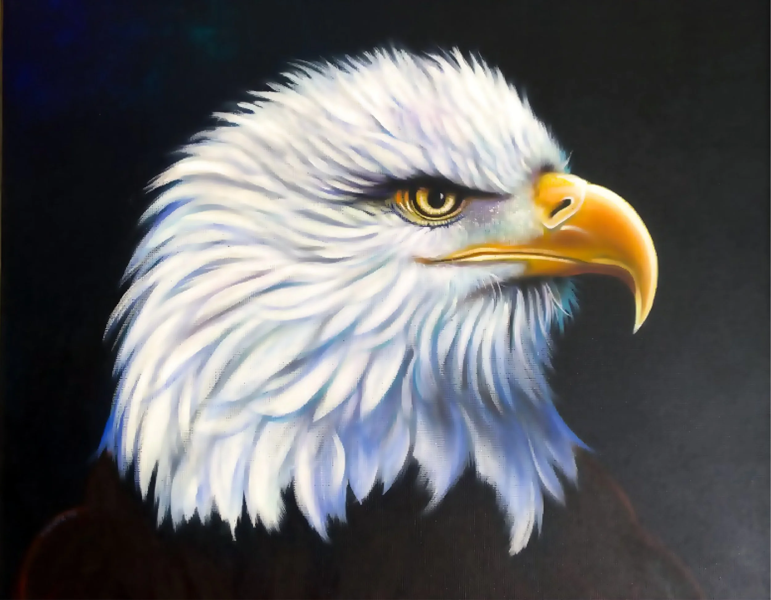 eagle_NC_2026_tpk.jpg