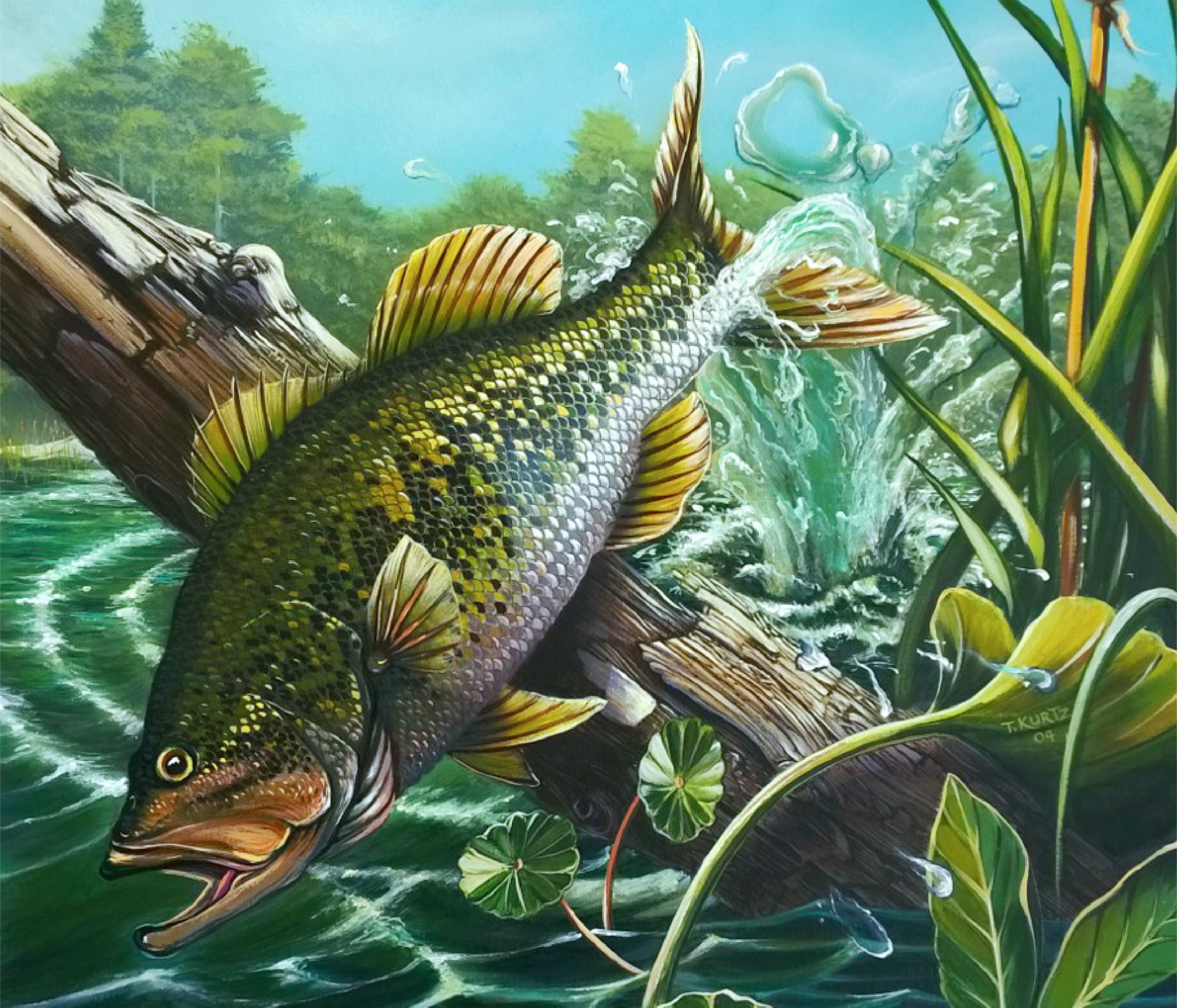 sm2-bass_NC-2026_tpk.jpg