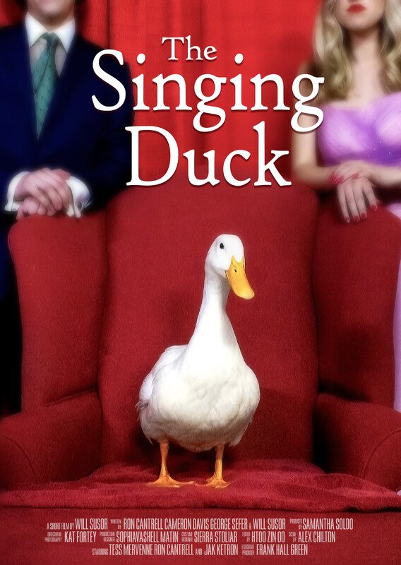 Singing Duck.jpg