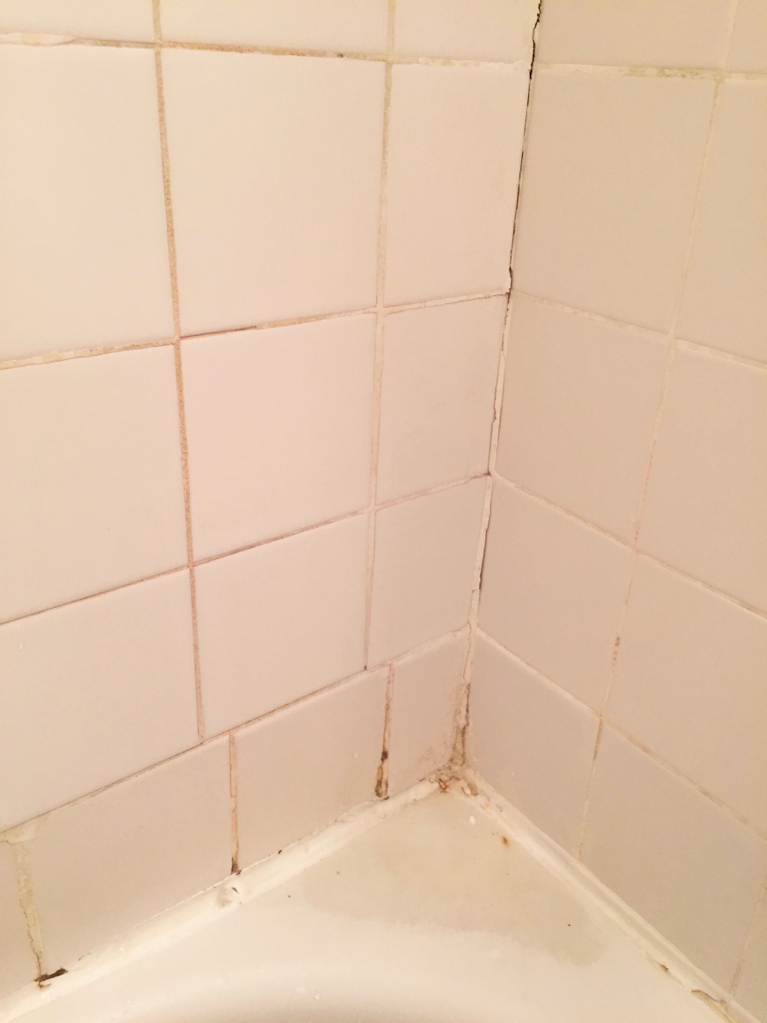 Anna Osgoodby Life + Design :: Apartment DIY Project Bathroom Edition -- How to Re-Grout and Re-Caulk Your Shower for Under $30