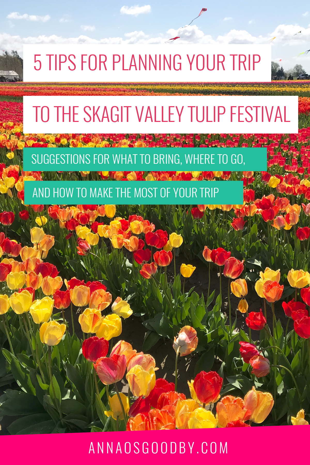 Anna Osgoodby Life + Biz :: 5 Tips for Planning your trip to the Skagit Valley Tulip Festival.png