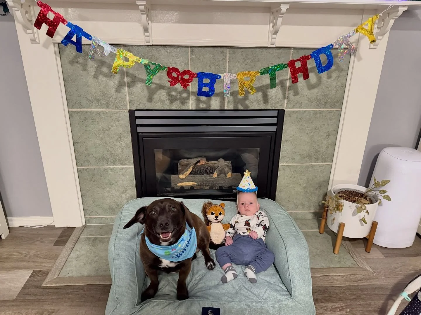 Happy 6th birthday Benji! 🐶🥳🎉 Our fur baby got spoiled with a new bed, new toys and his favorite bones! Baby Bennett made sure he dressed for the occasion too!