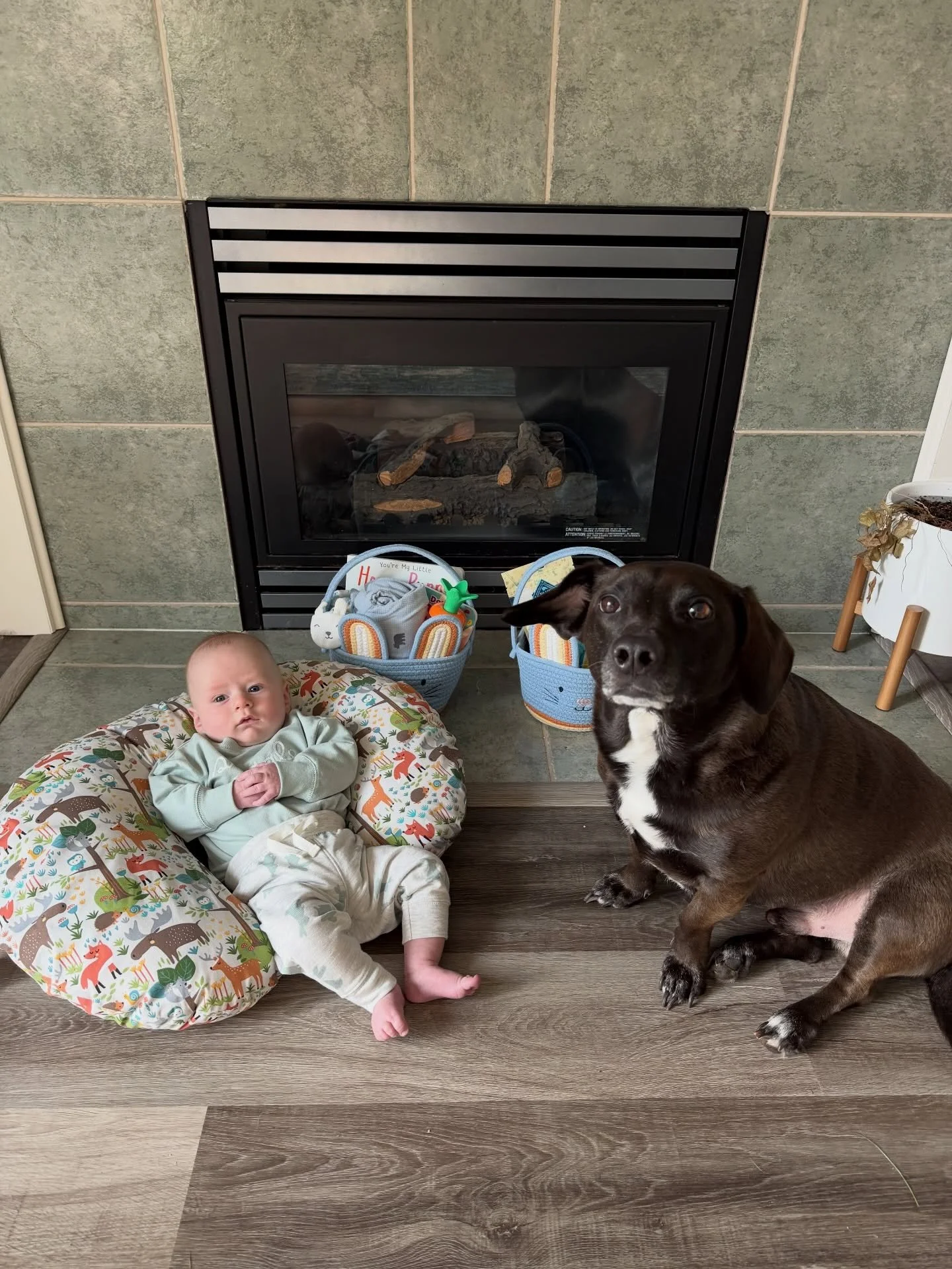 A very hoppy Easter weekend! 🐰🩵