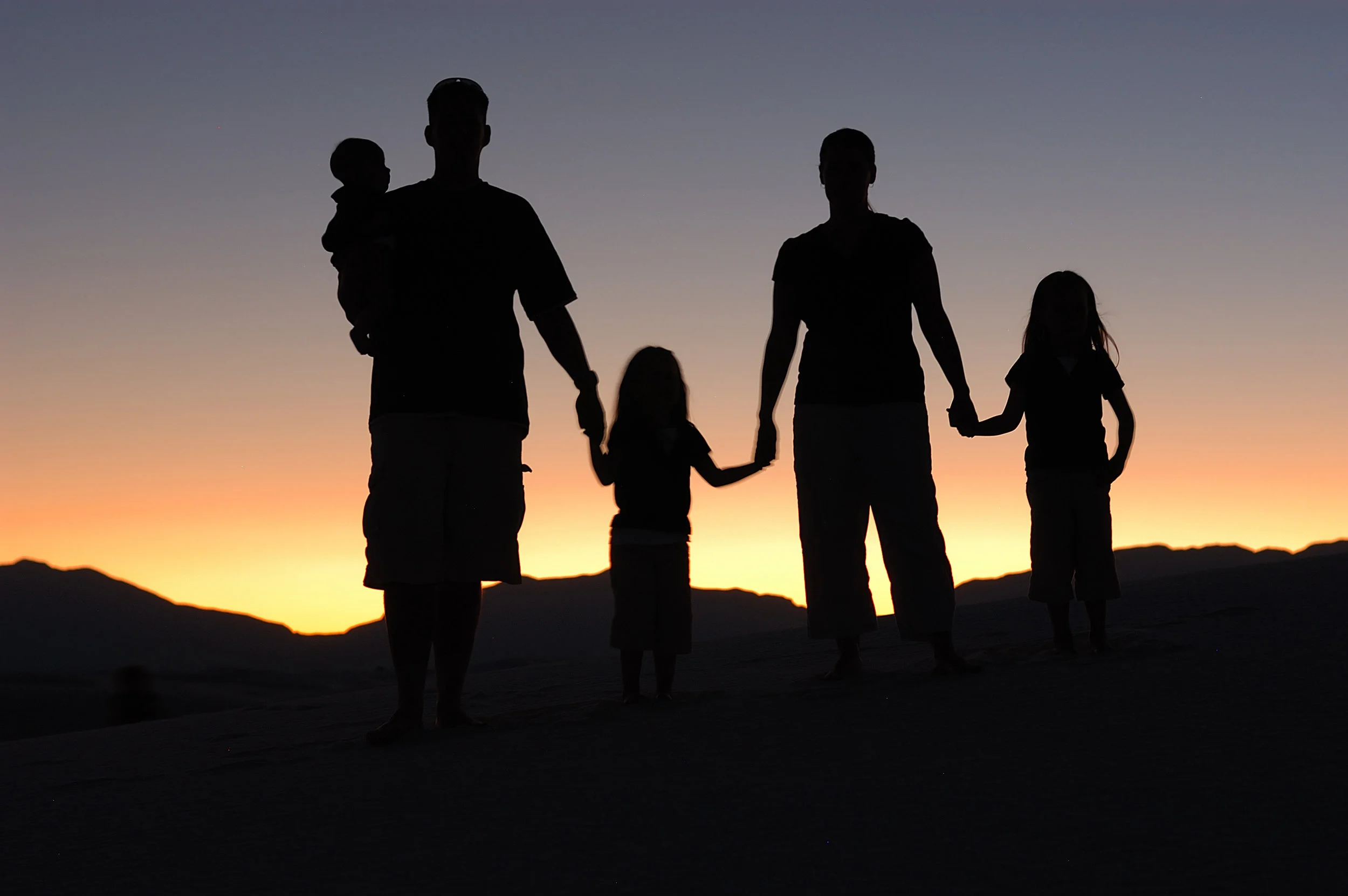 Family Household Data Management