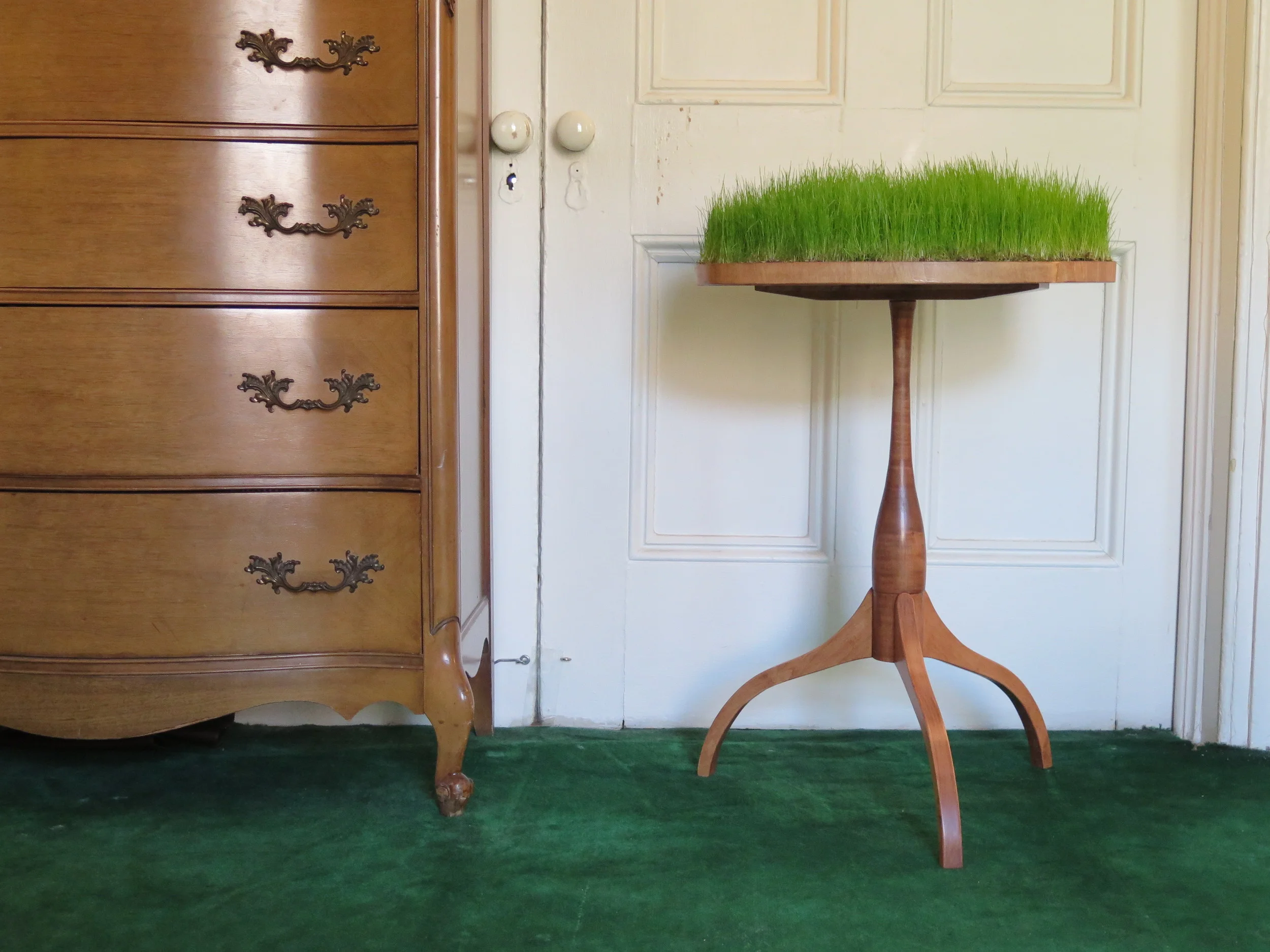 3Grass is Always Greener.JPG