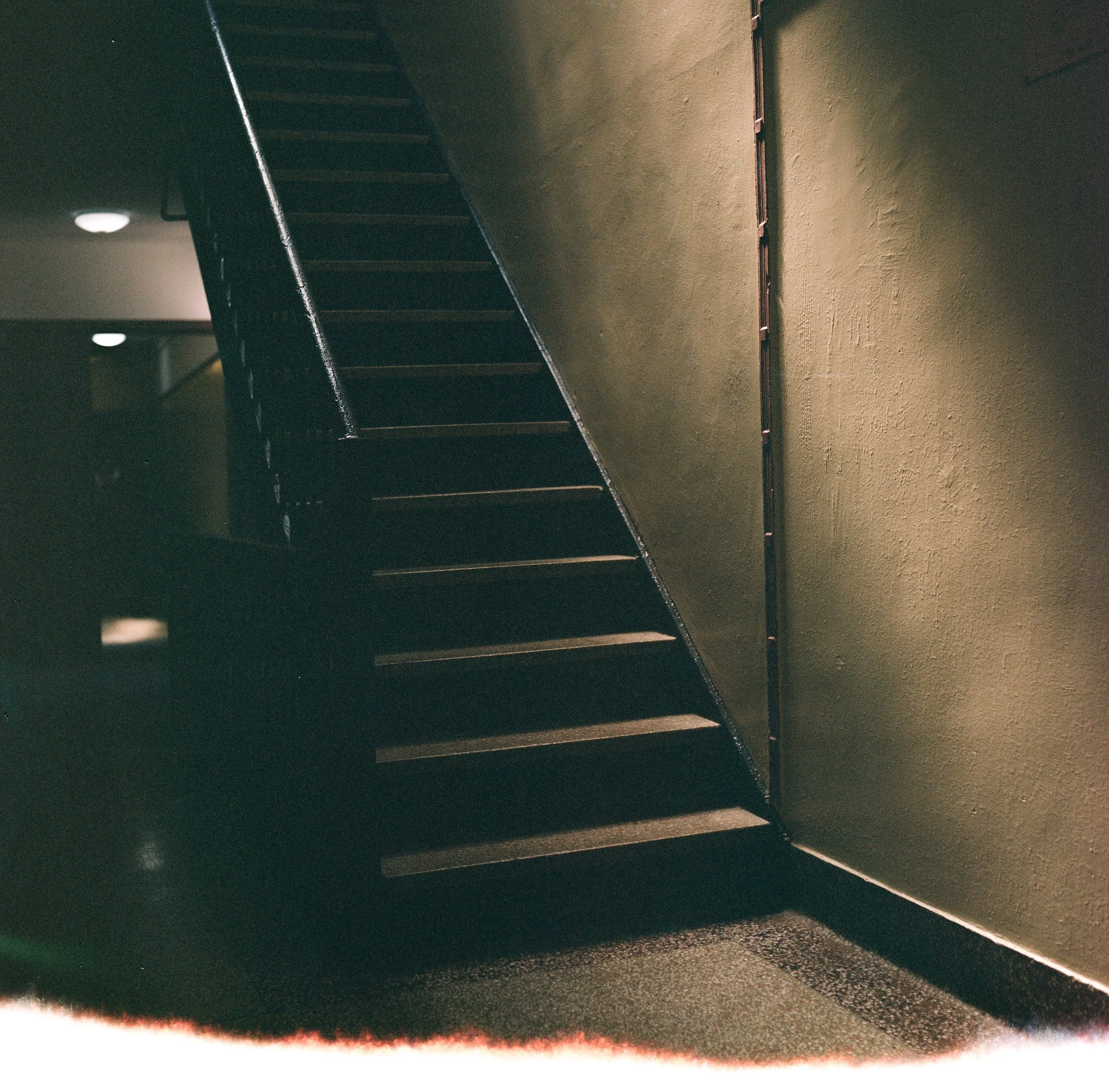 kodak_professional_portra_400_09_11_2024_000125100001.JPG