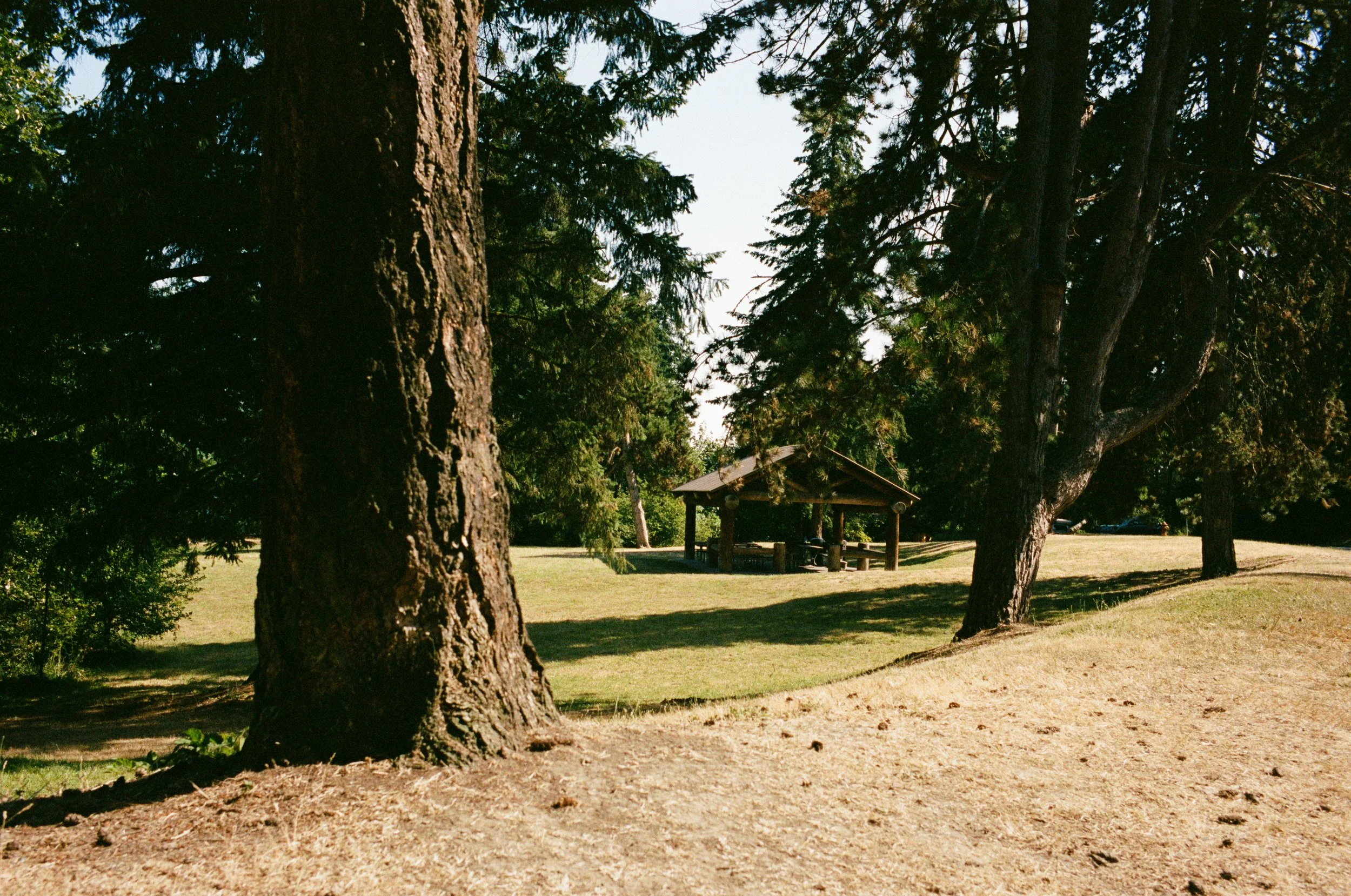 kodak_professional_portra_400_09_23_2024_000133610005.JPG