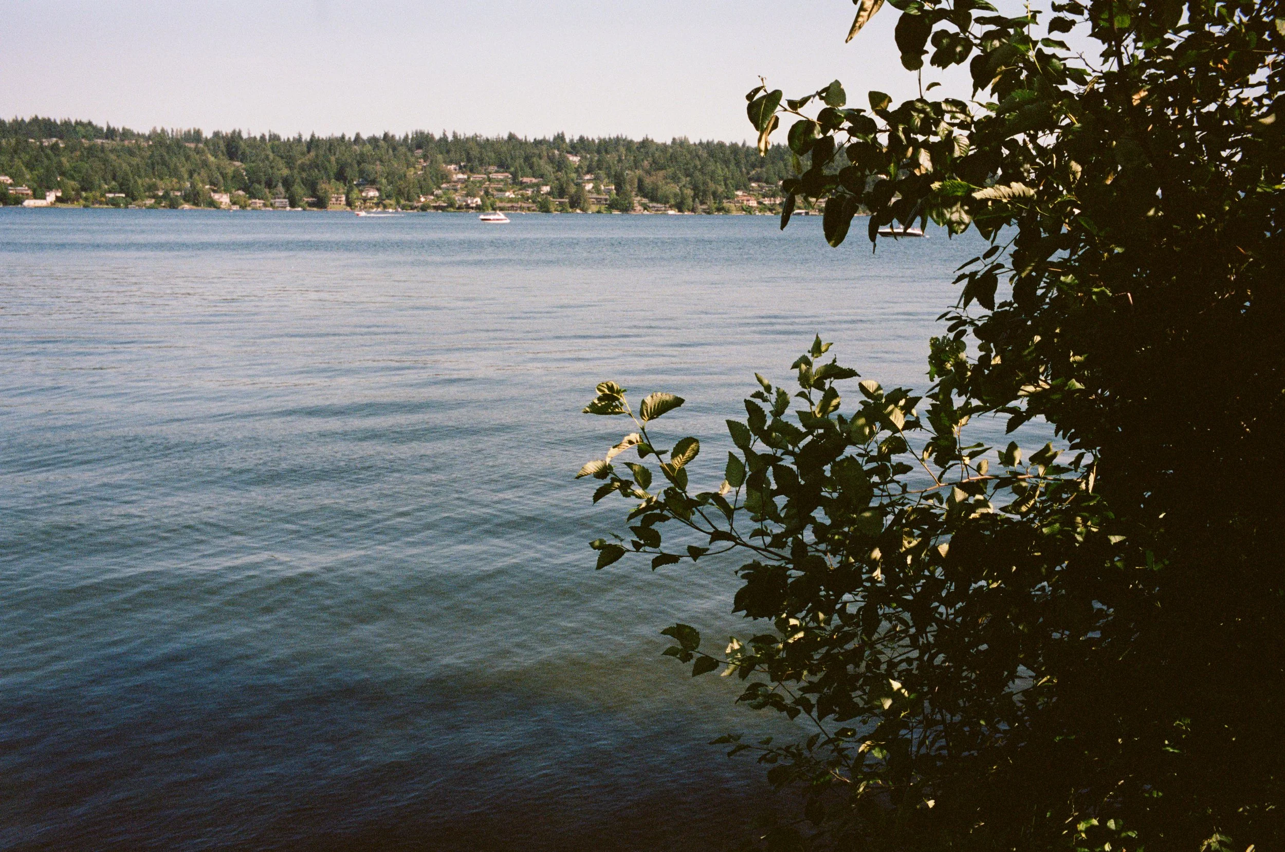kodak_professional_portra_400_09_23_2024_000133610008.JPG