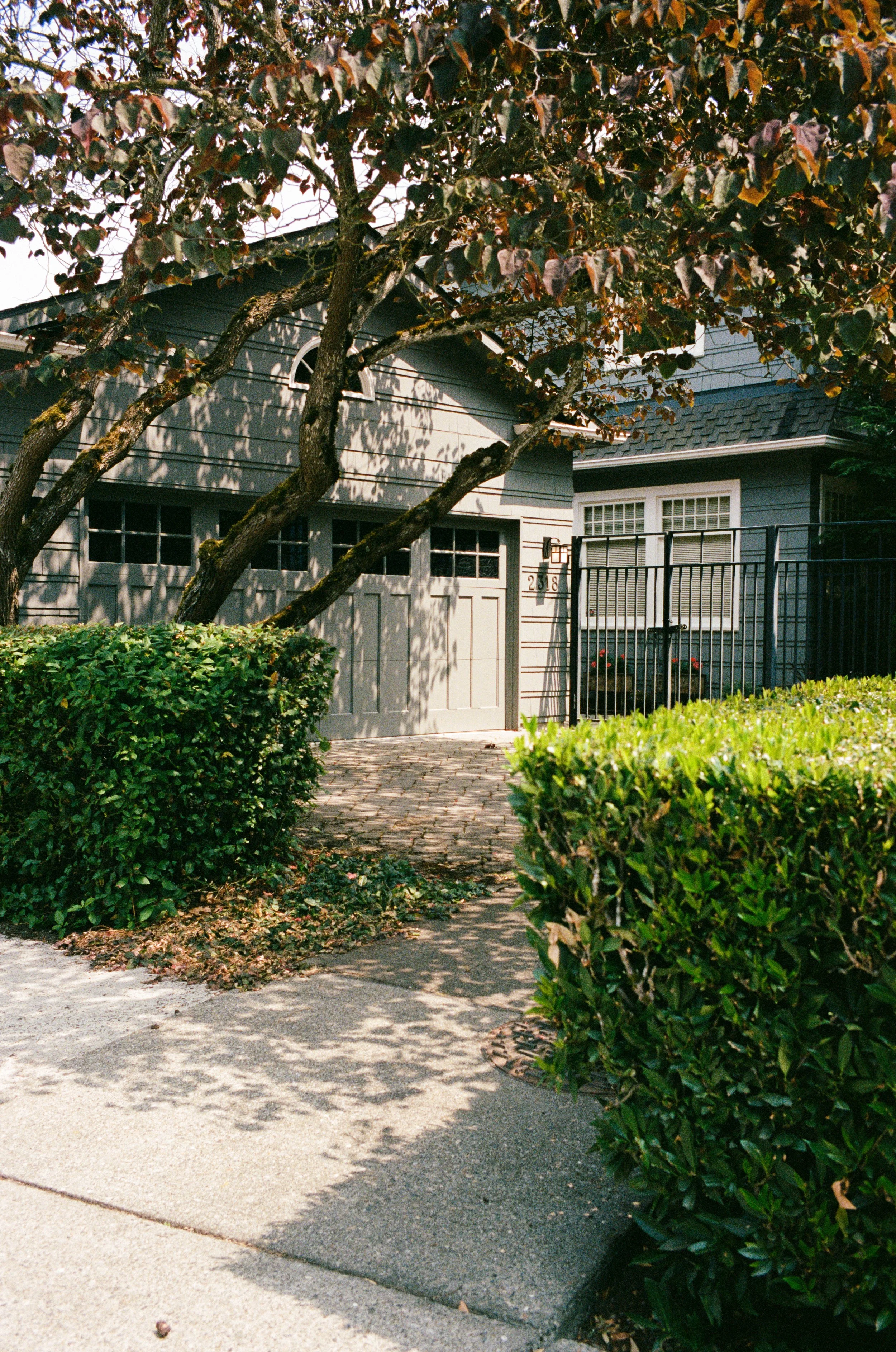 kodak_professional_portra_400_09_23_2024_000133610014.JPG