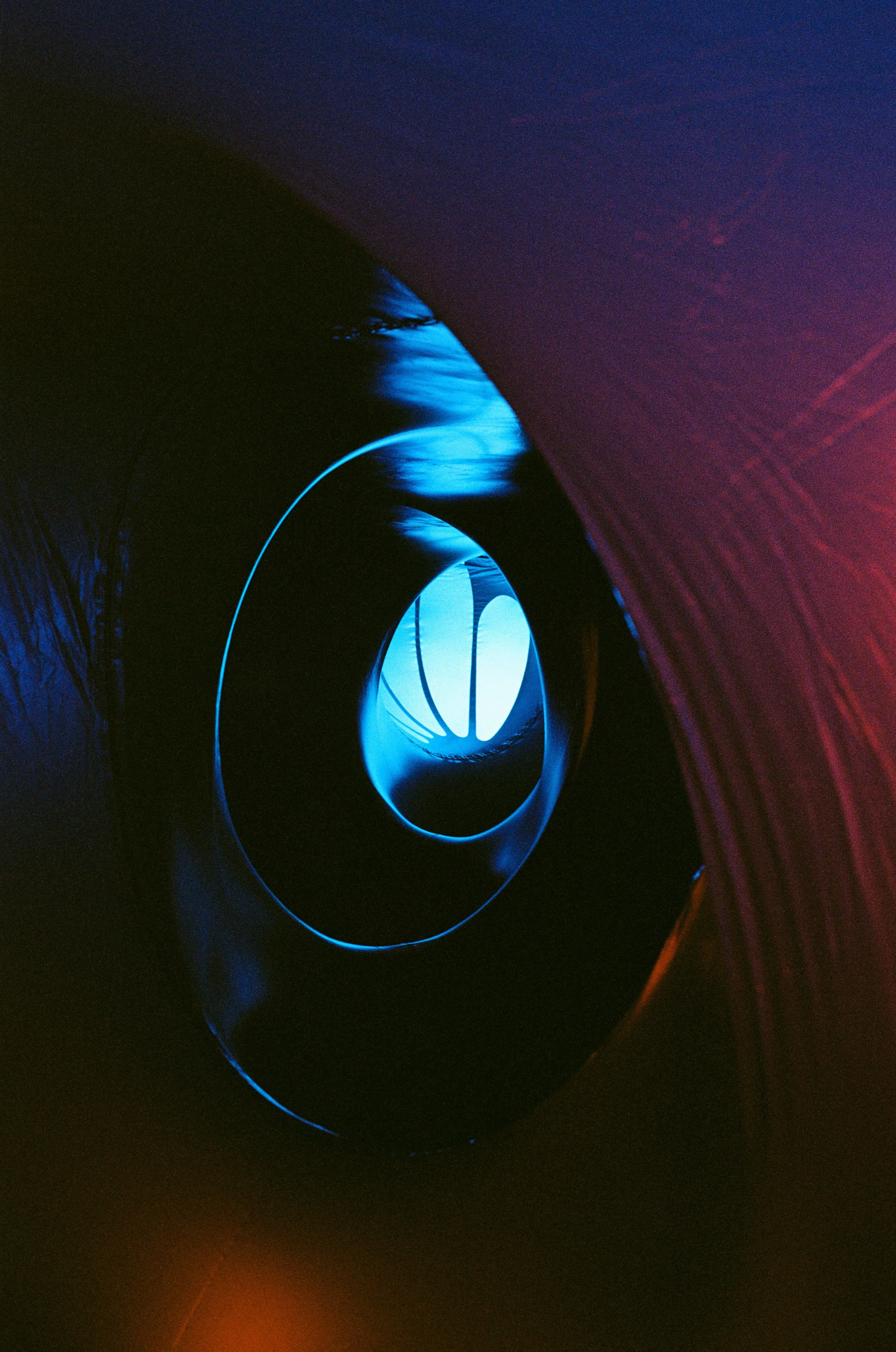 kodak_professional_portra_400_09_23_2024_000133610026.JPG