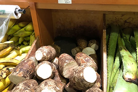 Free Audio Tour at Essex Street Market