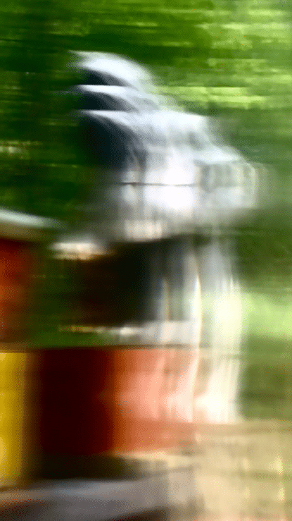 Beekeeping_2.gif