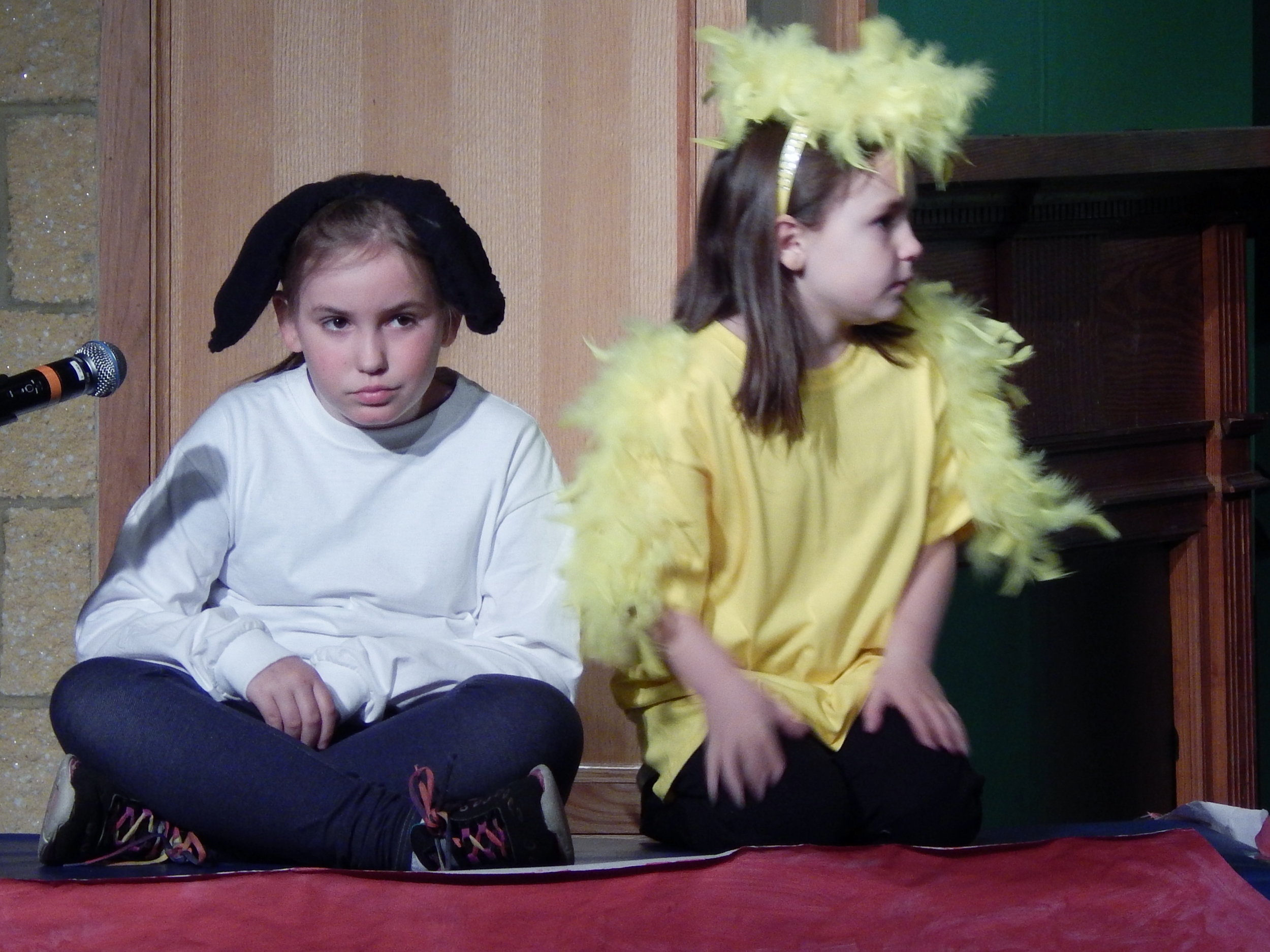 Chester Elementary School Musical 2015
