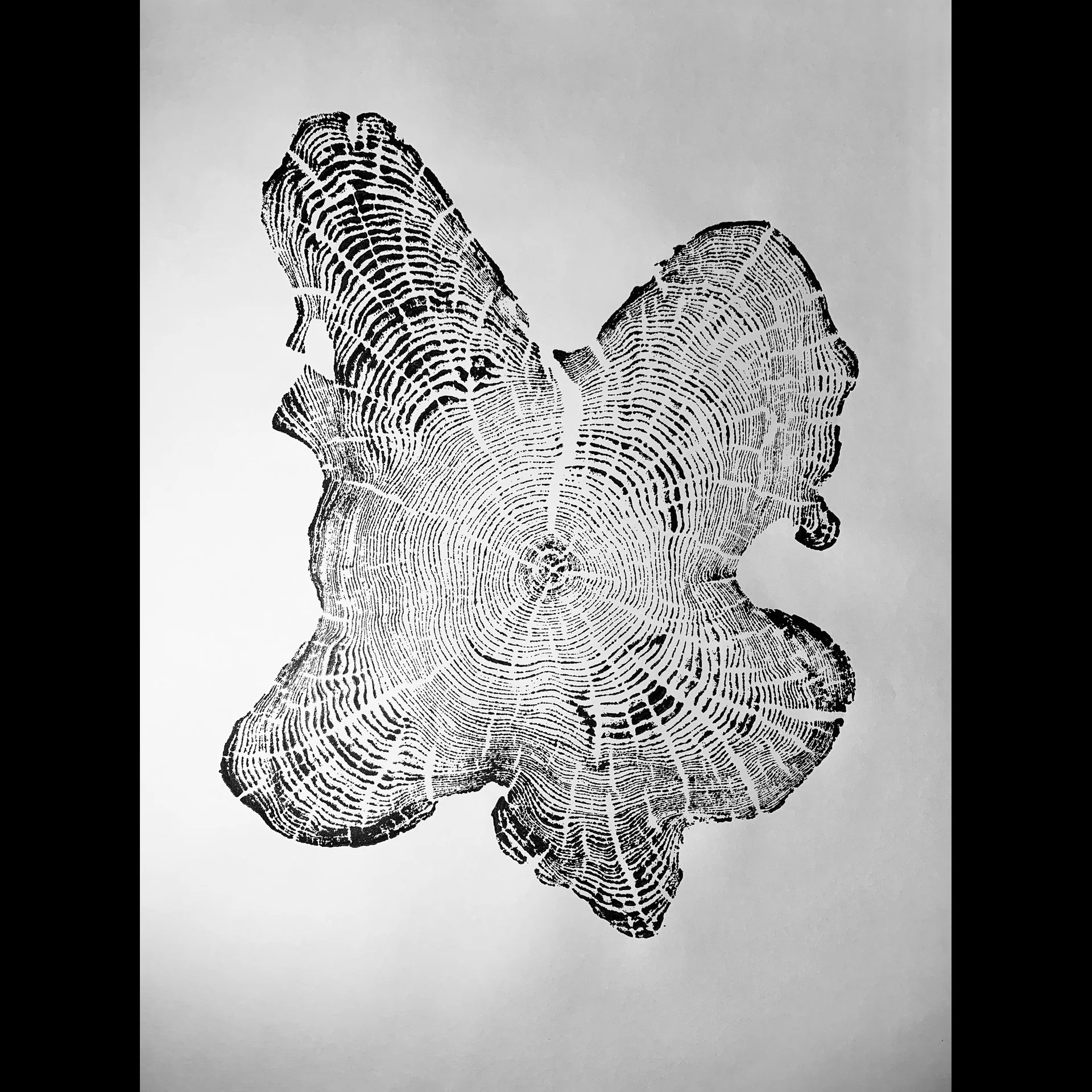 Victoria Hankins - 153