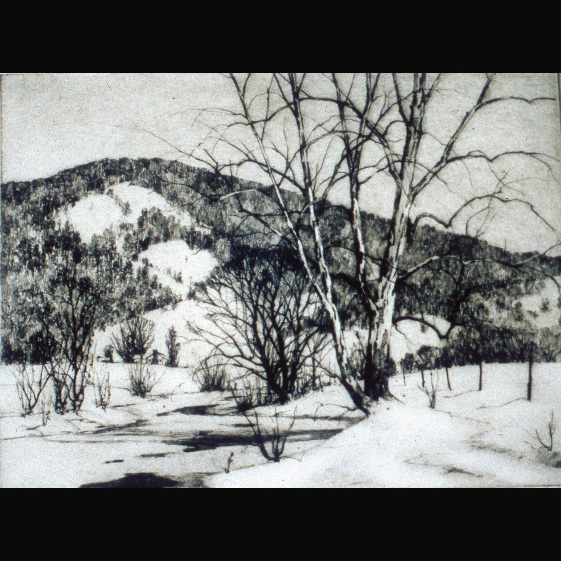Jay Wennersten - 37
