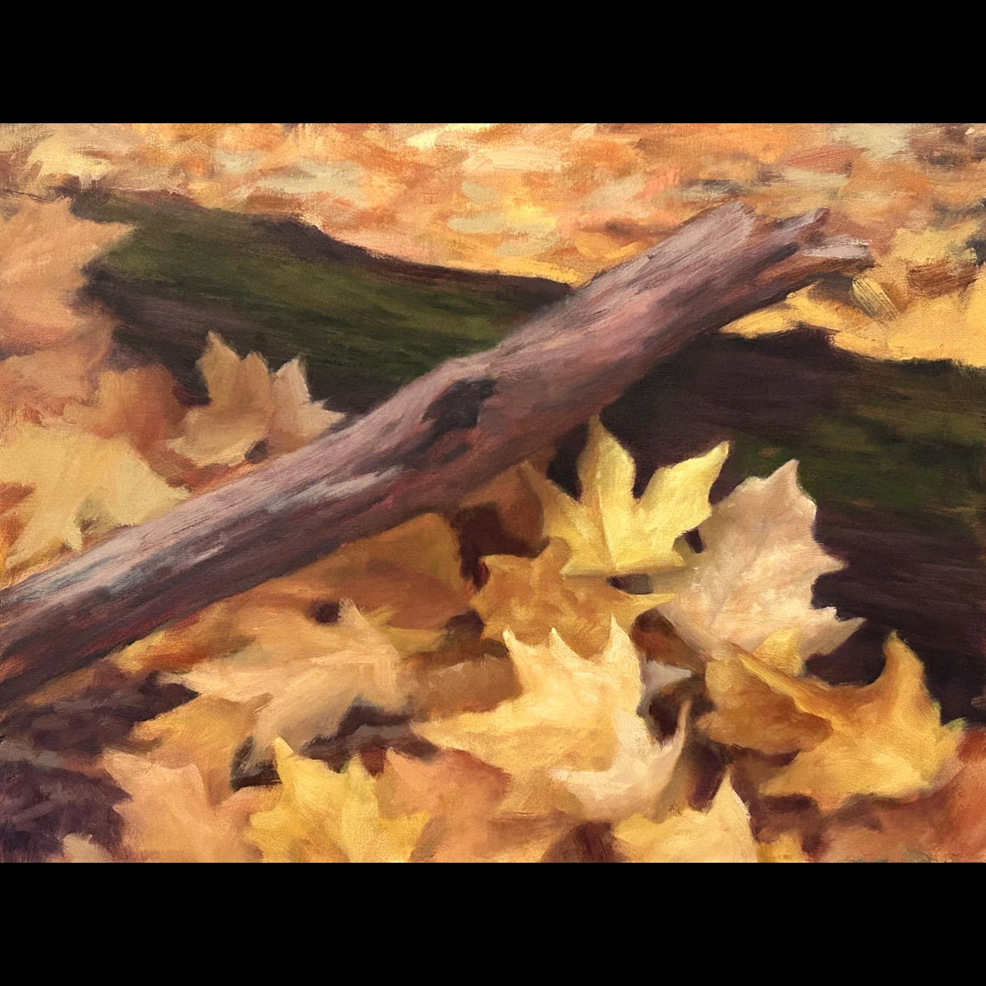 David Stratman - 142