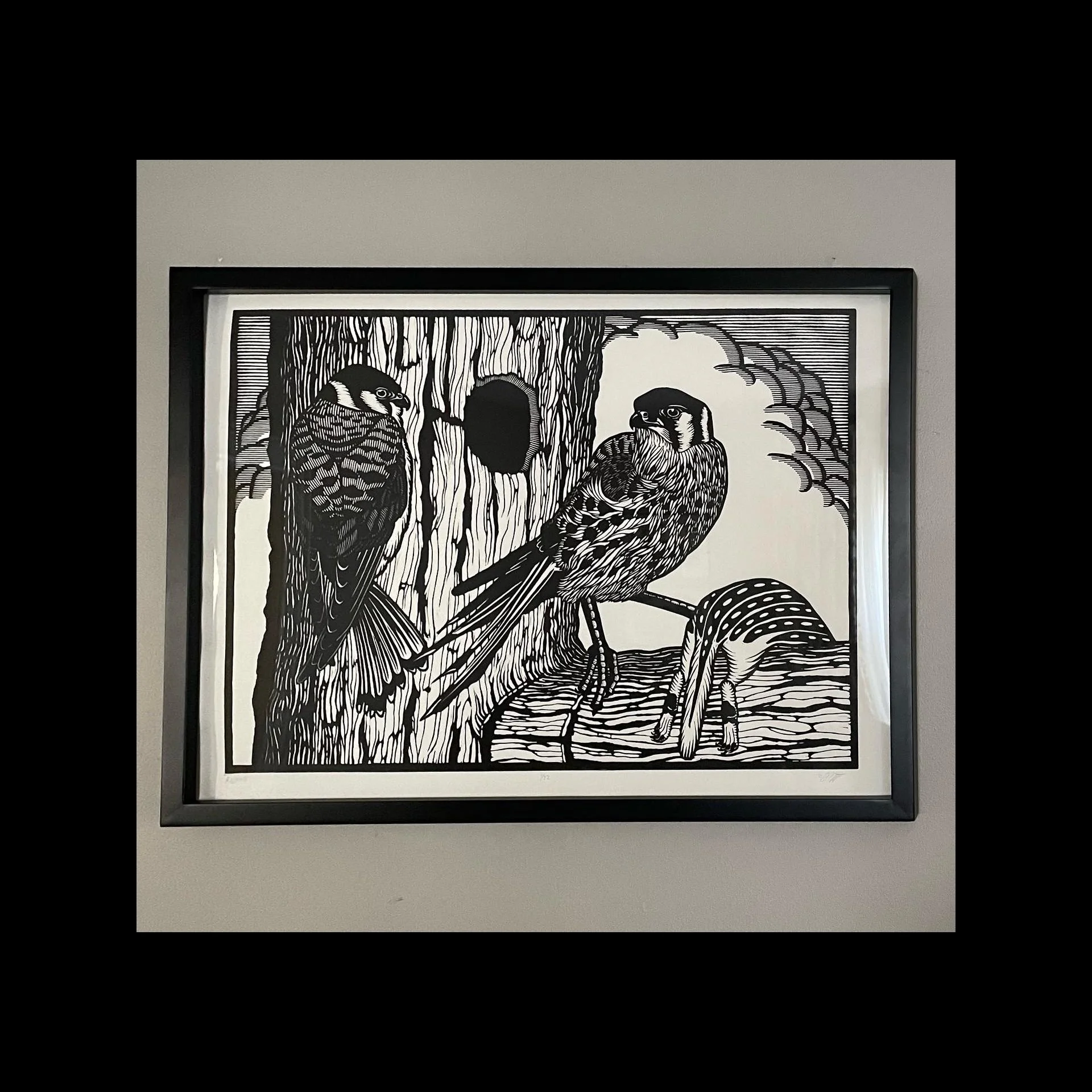 Black Cap Press - 162