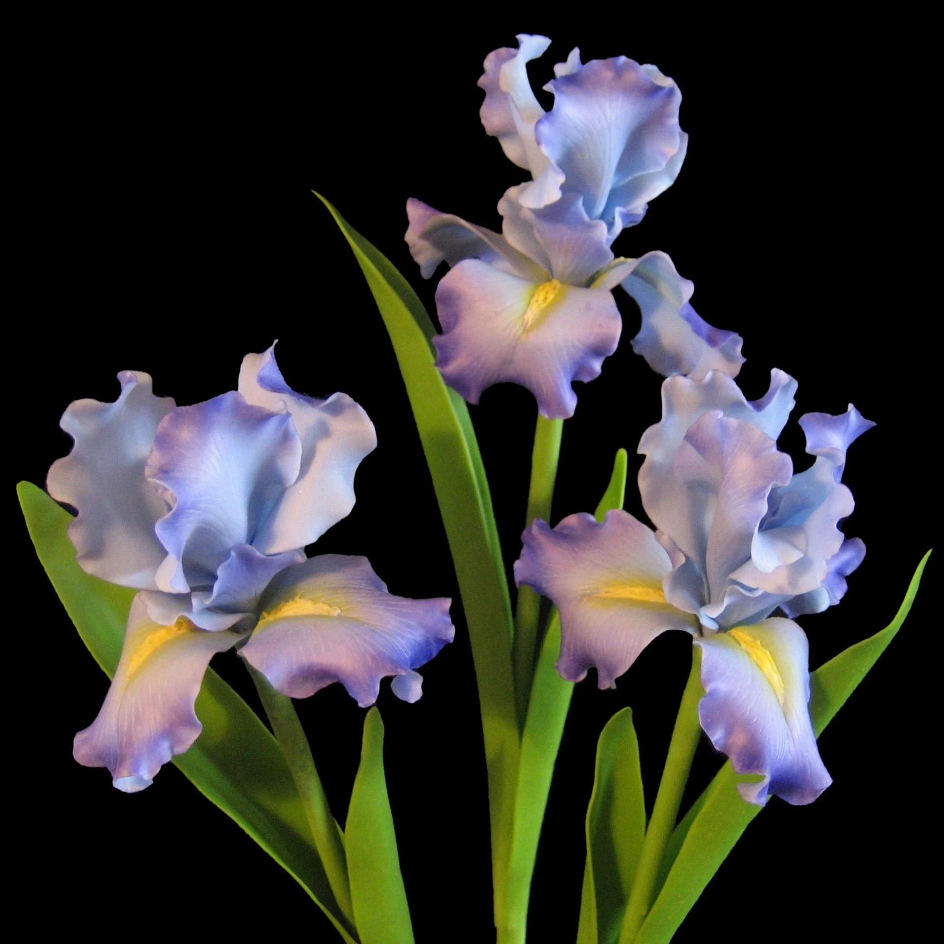 Suphattra Pollack - 117