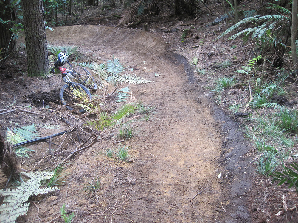 G-Rock Trail, Whakarewarewa Forest, Rotorua