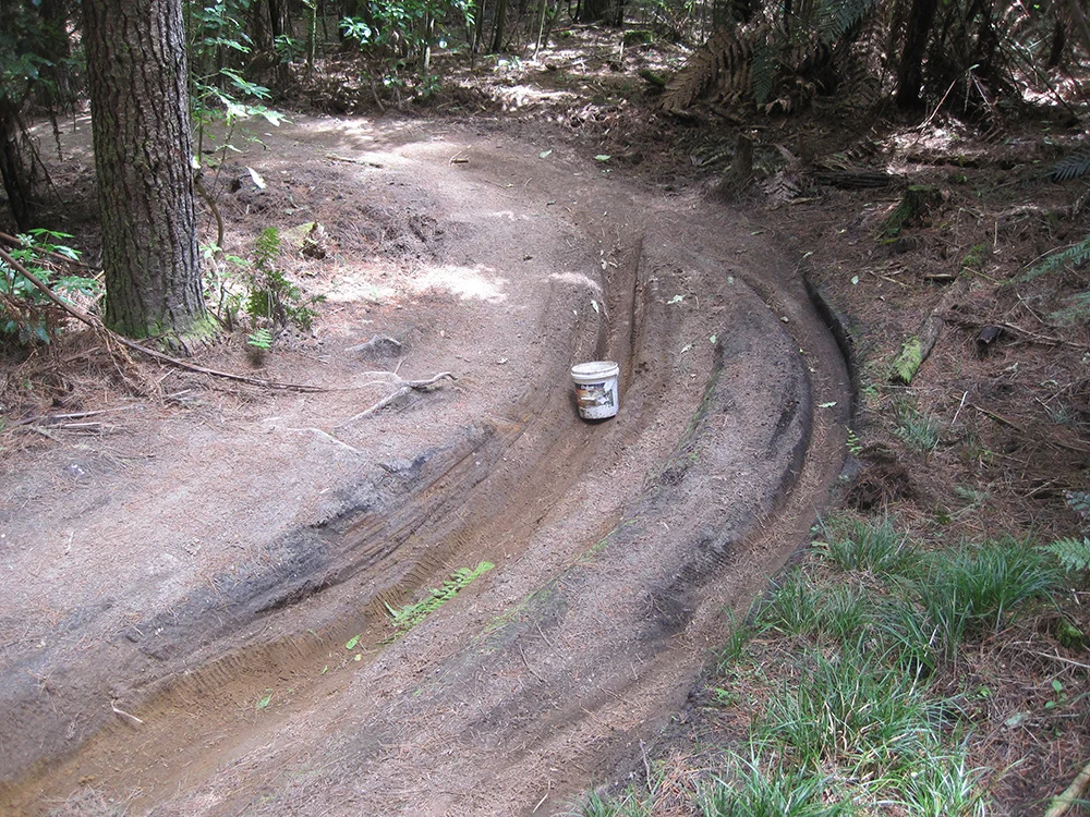 G-Rock Trail, Whakarewarewa Forest, Rotorua