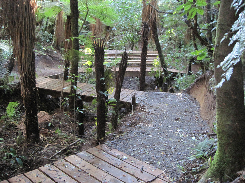 TBC Trail, TECT All Terrain Park , NZ